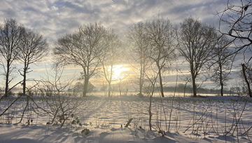 Winterlandschaft